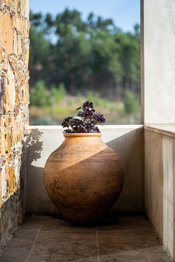 Quinta Da Palhota Villa Vila de Rei Bagian luar foto